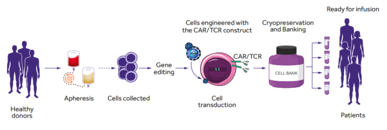 Off-the-Shelf Allogeneic Cellular Immunotherapies For Cancer - Ardigen.com