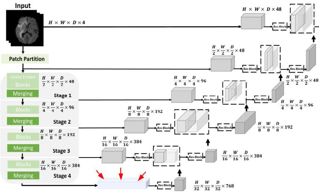 SWINUNETR neural network with bottleneck feature