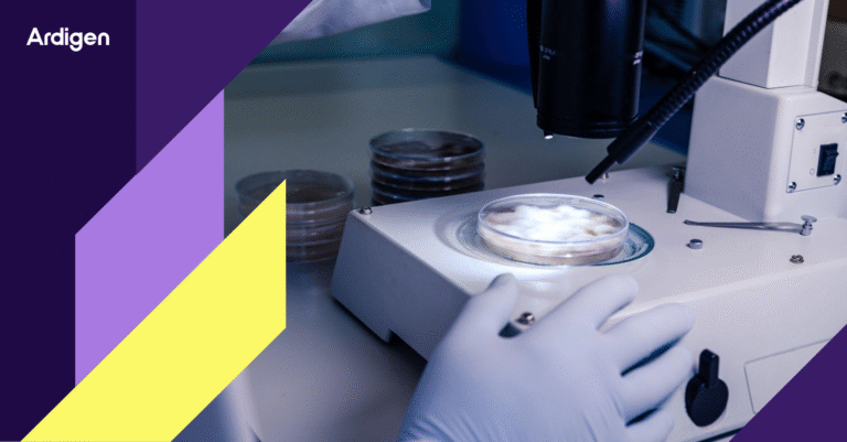 AI-driven target identification process in drug discovery.