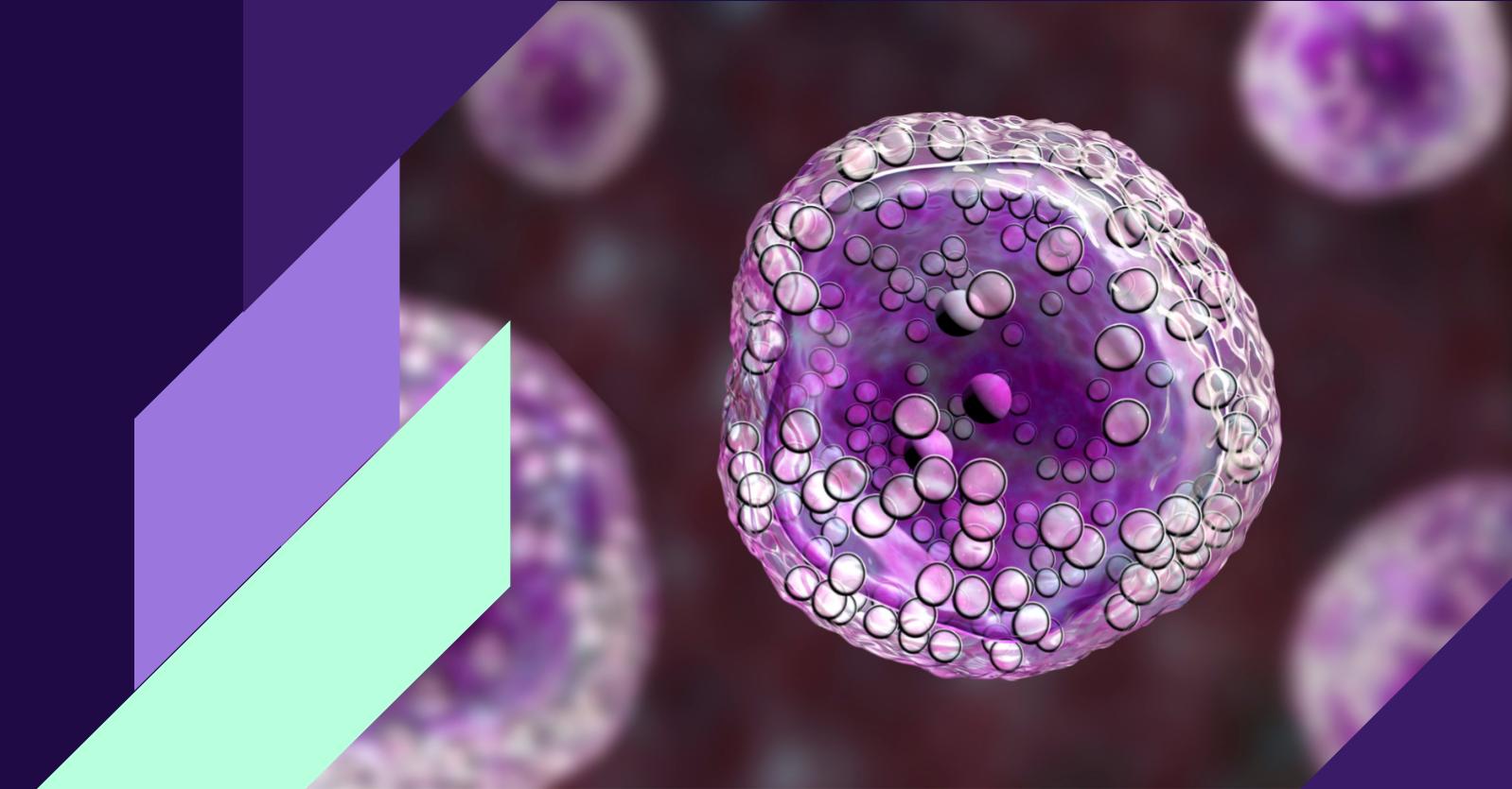 Fluorescent Cell Painting image showing multiple cellular components used for morphological profiling in drug discovery.