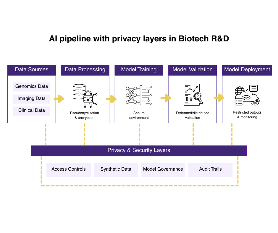 AI pipeline in biotech R&D showing data sources, model lifecycle stages, and privacy layers applied across data processing, training, validation, and deployment