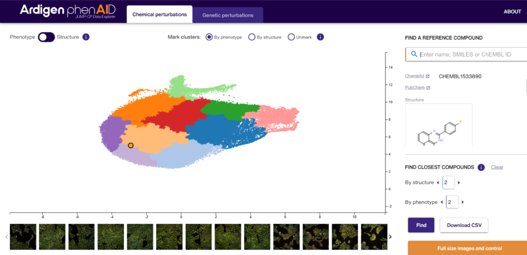 Screenshot of Ardigen phenAID JUMP-CP Data Explorer showing a UMAP visualization of chemical perturbations with color-coded clusters, compound structure panel, and cell imaging thumbnails
