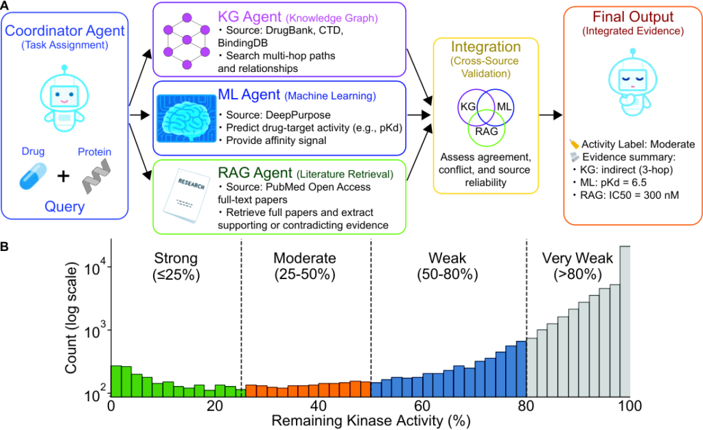 DrugAgent architecture combining knowledge graph, machine learning, and PubMed agents to assess and rank drug-target interactions.